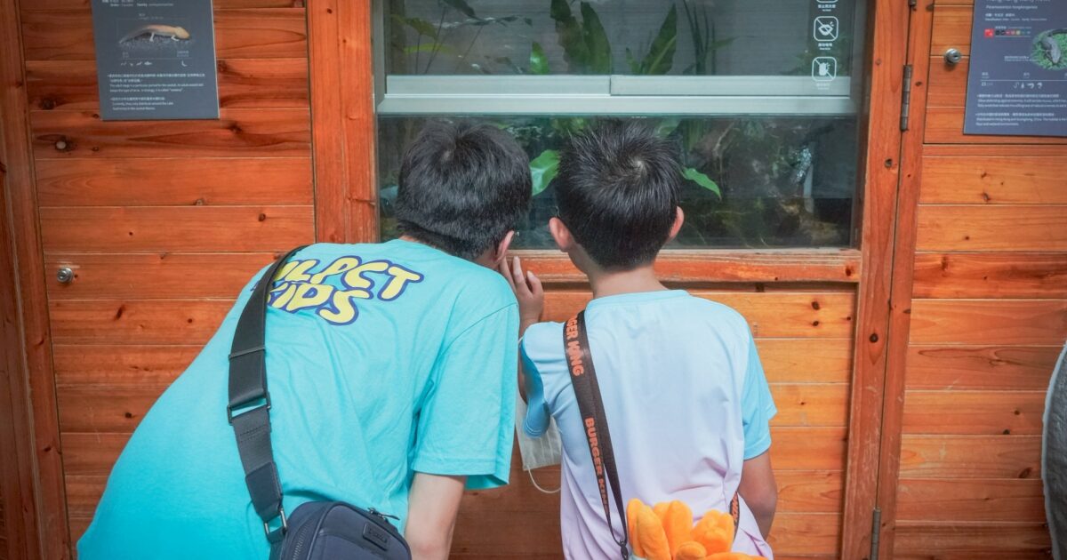 LINE_ALBUM_0808台北貓空木柵小旅行_佳穎組_250810_109